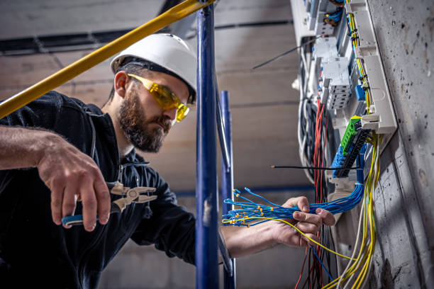 Best Home Electrical Repair  in Holgate, OH