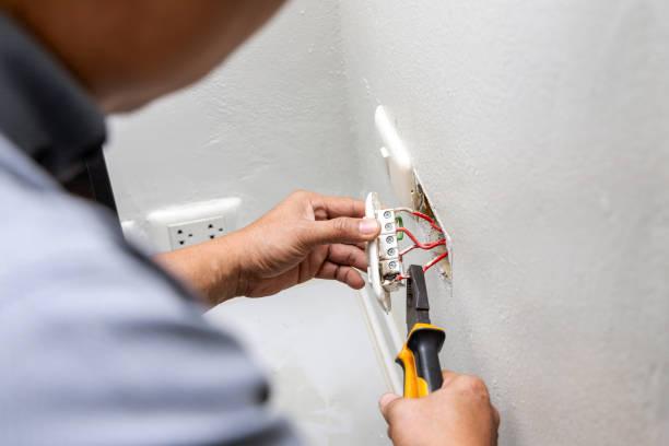 Best Electric Panel Repair  in Holgate, OH