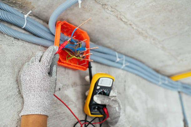 Best Residential Electrician Services  in Holgate, OH