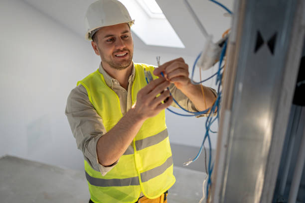 Best Electric Panel Repair  in Holgate, OH